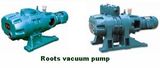 Roots Vacuum Pump (ZJ/ZJP)