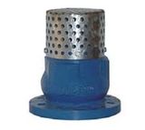 ANSI/DIN/JIS Cast Iron Foot Valve