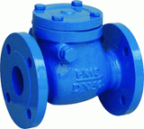 DIN Cast Iron Check Valves