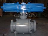 Forged Ball Valve