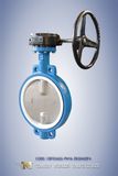 Worm Gear Butterfly Valve (D371X-10/16)