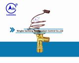 Auto A/C Expansion Valve /C Type Expansion Valve (SH802)