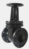 GOST Rising Stem Gate Valve (Z44T)