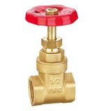 Brass Gate Valve (MY-1101)