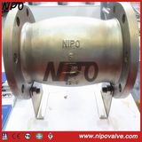 Stainless Steel Non Slam Check Valve