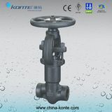 Forged Pressure Seal Globe Valve