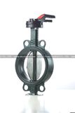 Wafer Type One Piece Shaft Butterfly Valve (RBV010)