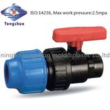 Ball Valve - Adaptor Valve X 2 Fbsp