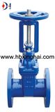 Resilient Seated Rising Stem Cast Iron Gate Valve