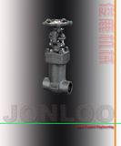 Forged Bellow Seal Globe Valve