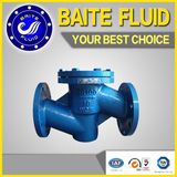 Safety Check Valve