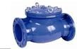 Blue Ductile Swing Check Valve