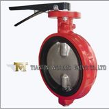 Industrial Valve