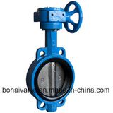 Cast Iron/Steel PTFE Seat Flange/Lug/Wafer Butterfly Valve