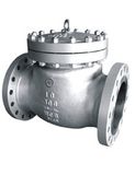 Check Valve (SUGO NO.801)