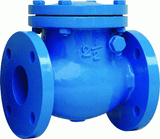 Ductile Iron Check Valve