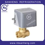 220V Dn 15 Thread Motorized Valve