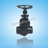 Forged High Pressure Globe Valve (Type: J11Y)