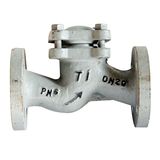 Lift Check Valve