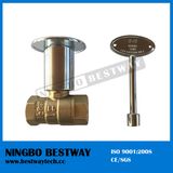 China Brass Gas Burner Valve Factory (BW-B79)