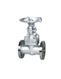 Forged Steel Gate Valve