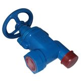 Ductile Iron Threaded Angle Type Globe Valve