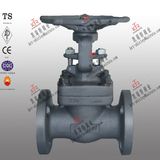 Forged Globe Valve