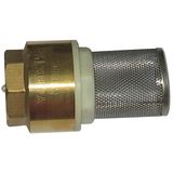 Brass Check Valve - 2