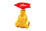 Gate Valve (GDY-004)