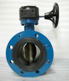 Flange Butterfly Valve (D341X-10/16) 