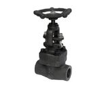 Female Threaded and Socket Welded Globe Valve