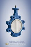 PTFE Coated Lug Butterfly Valve