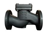 Din Lift Check Valve