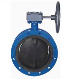 Double Flanged Rubber Lined Butterfly Valve