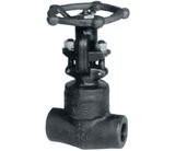 Forged Steel Gate Valve