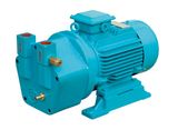 Liquid Ring Vacuum Pump (SK Series)