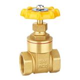 Brass Gate Valve (SSF50040)