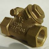 Y Swing Check Valve