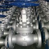 Bs Globe Valve