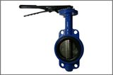 Butterfly Valve - 7