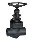 Forged Steel Globe Valve