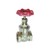 Brass Gate valve