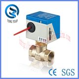 2-Way / 3-Way Brass Electric Control Motorised Ball Valve (BS-818)