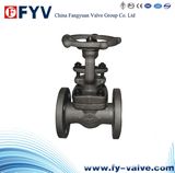 Forged Steel Flanged Gate Valve