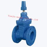 Topcap Ggg50 Non-Rising Stem Gate Valve (Z45X-16Q)