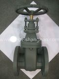 ANSI Cast Iron Non Rising Stem Gate Valve