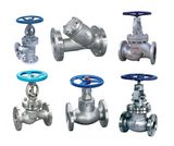 Globe Valve