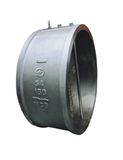 Wafer Dual Plate Check Valve