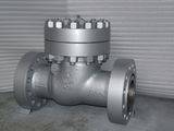 High Pressure ANSI Check Valve