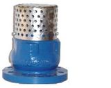 Cast Iron Flange Foot Valve